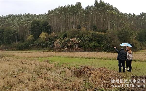 苏州陈老师带着爱徒寻龙点穴